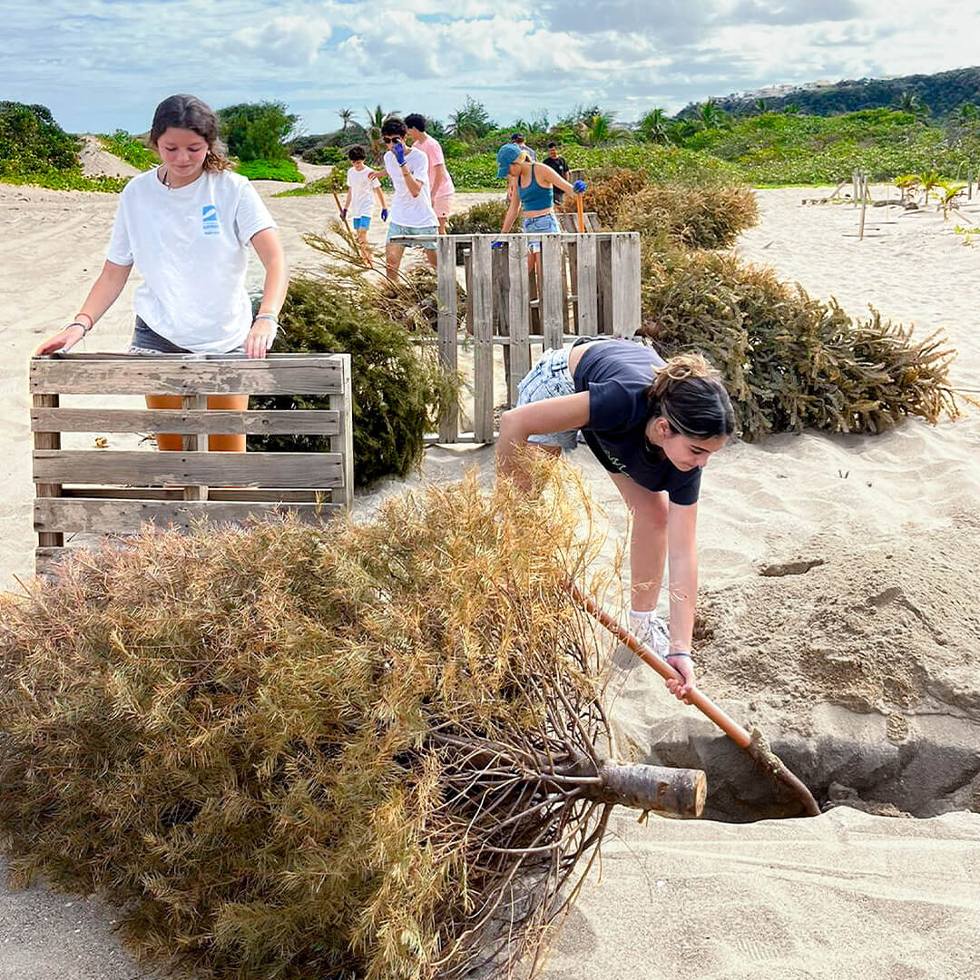 CAP-Email5-6 CAP-Email5-6