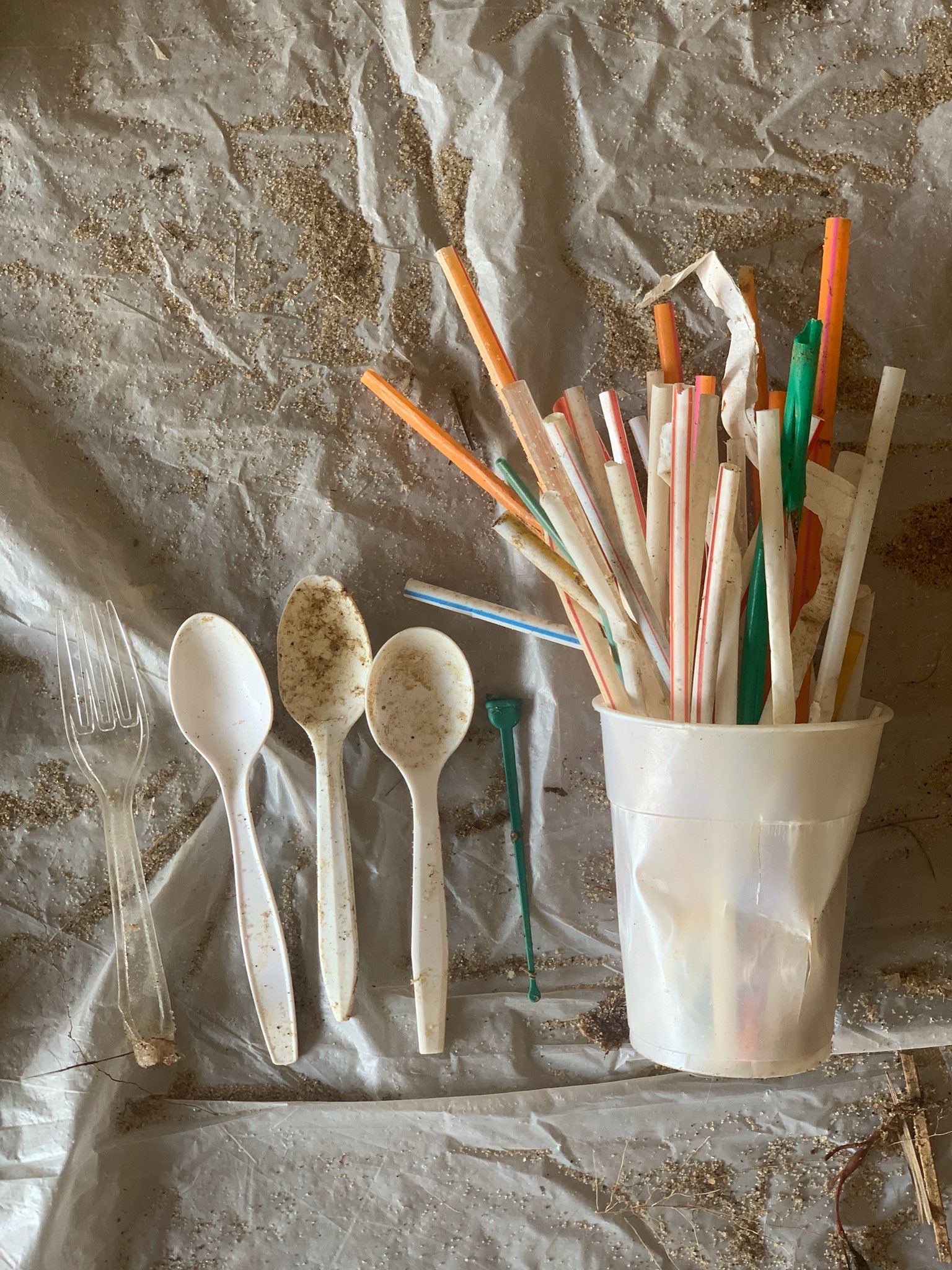 Reduce Plastic Pollution in the Town of Southampton, NY