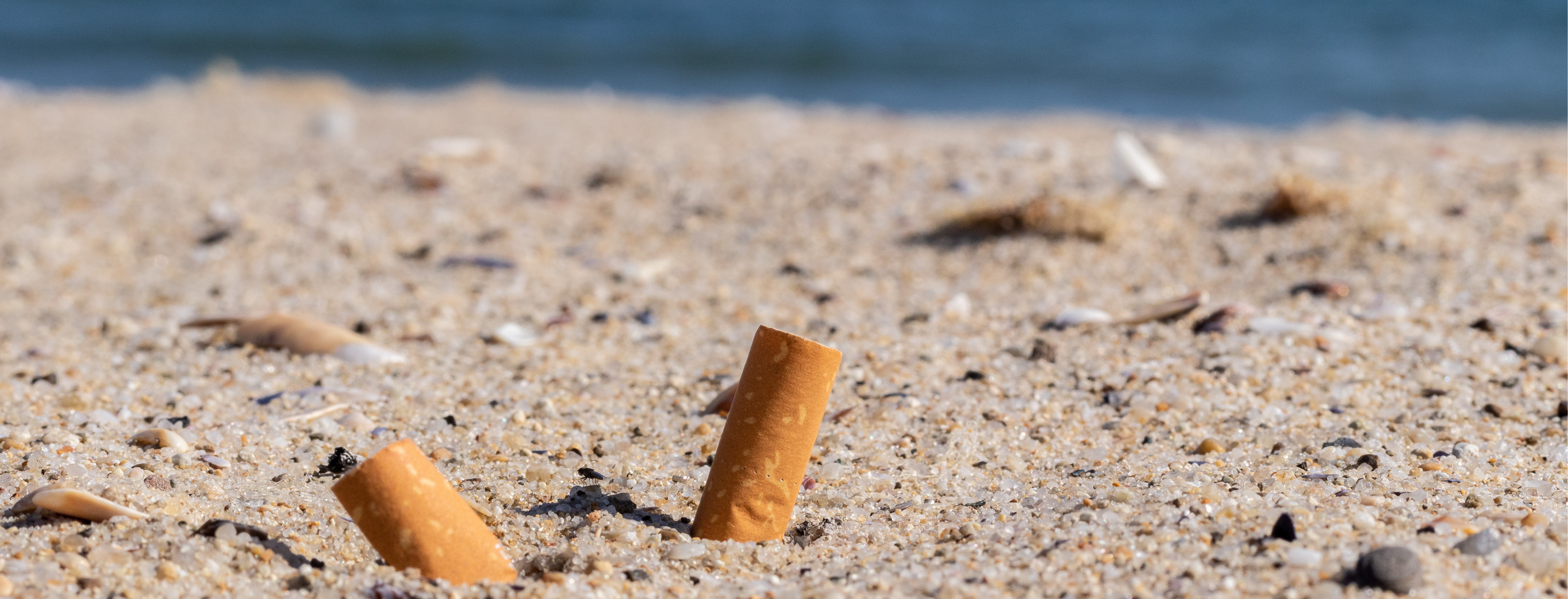 Ban The Butt Capitola