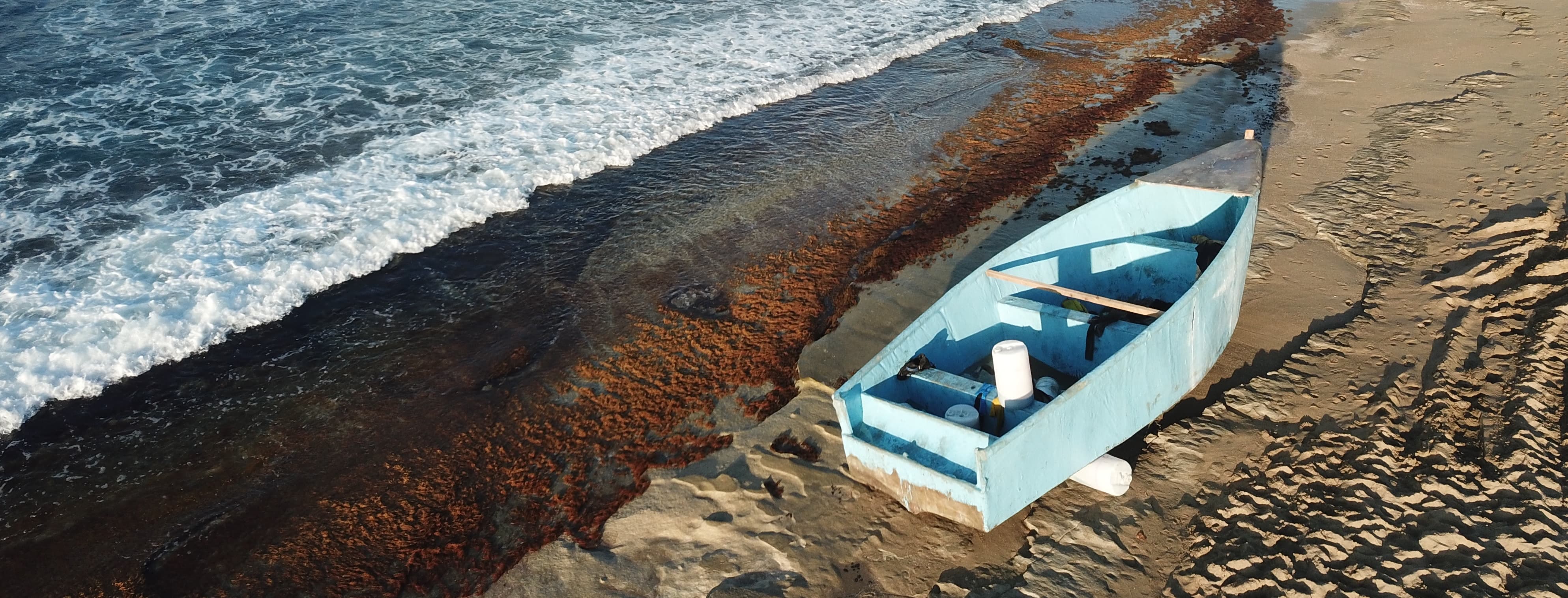 Removal of abandoned vessels along the coastline