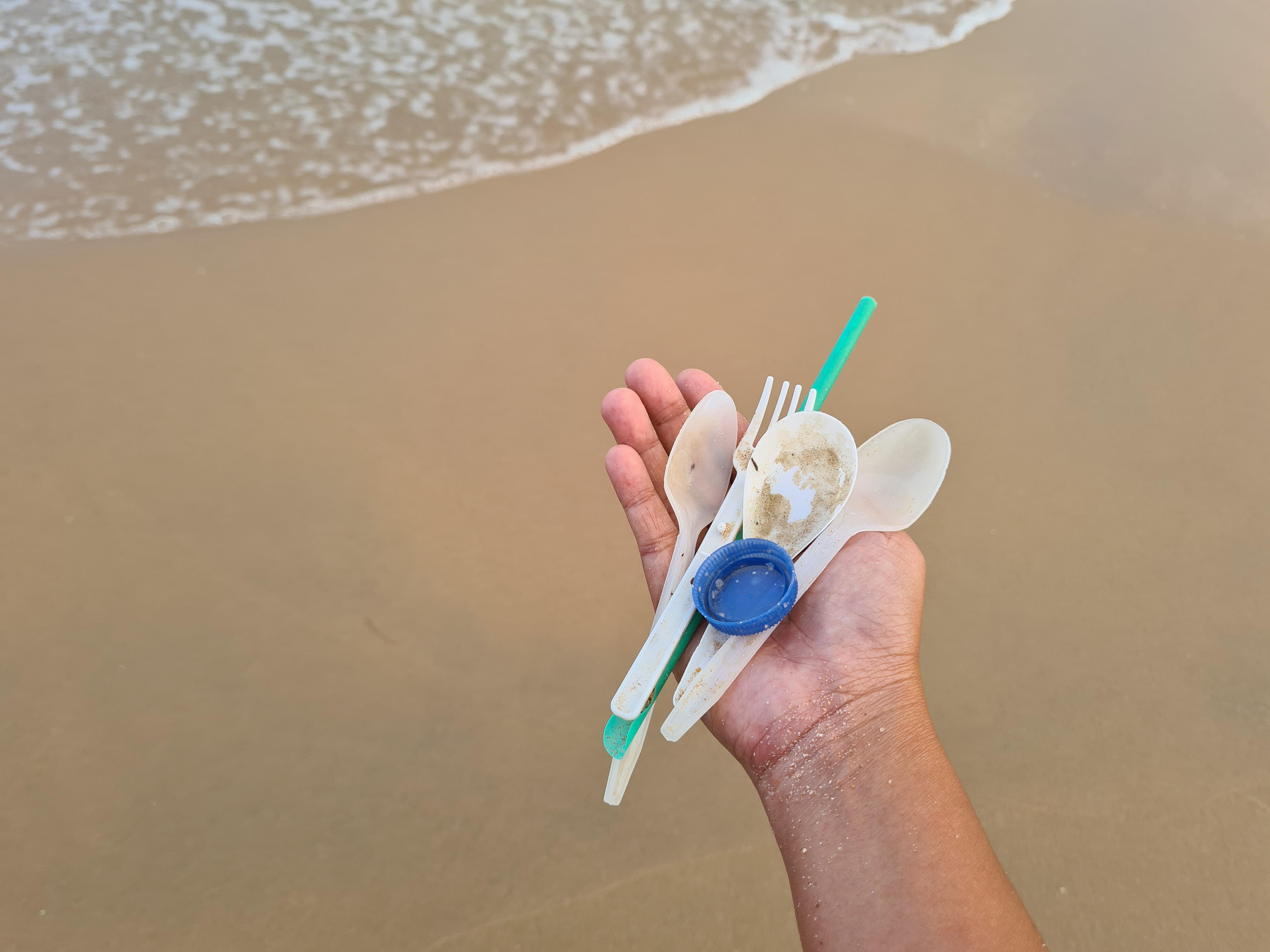 Reduce Plastic Pollution in Annapolis