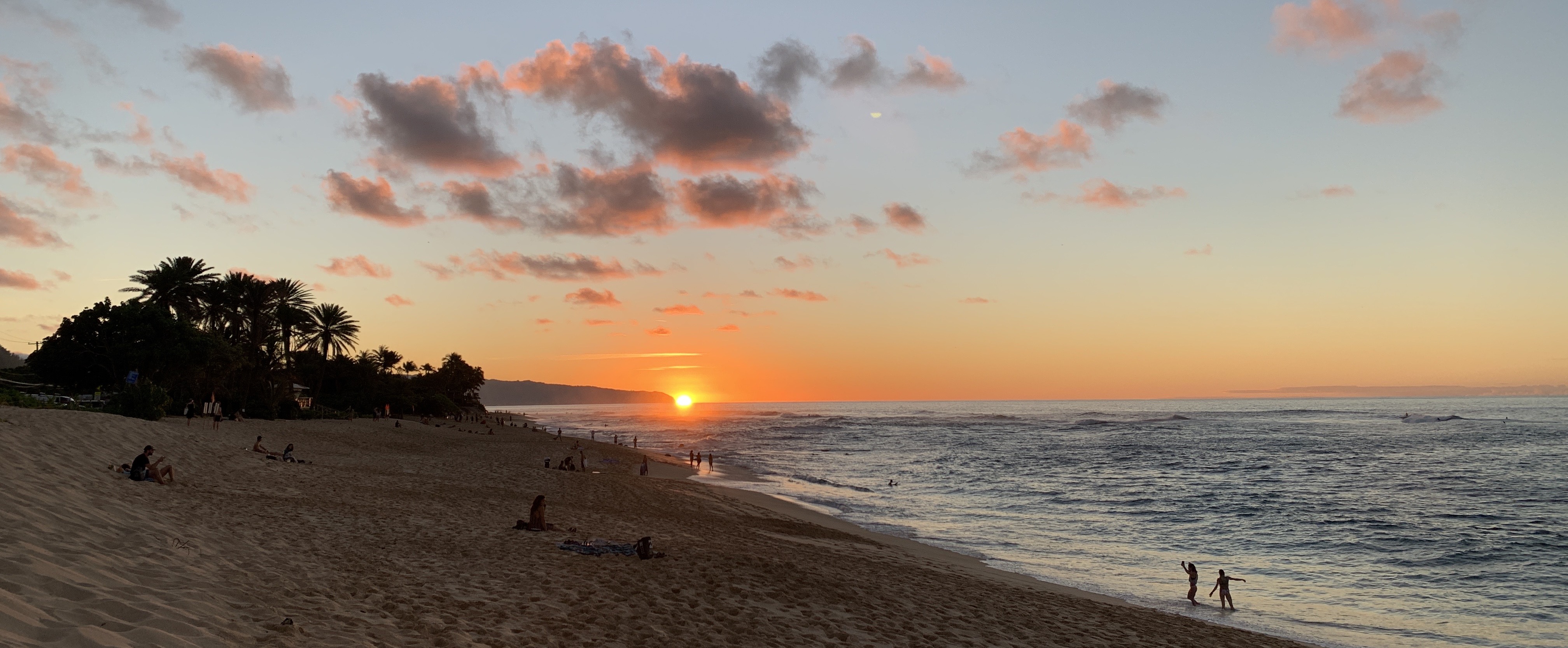 Demand a Strong Global Plastics Treaty to Protect Our Ocean