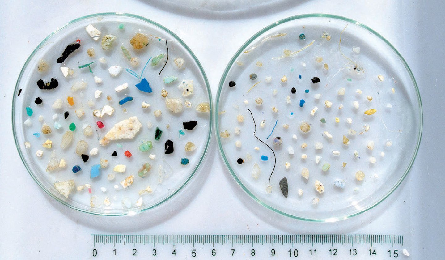 Support AB 823 – Keep Plastic Microbeads Off of Our Bodies