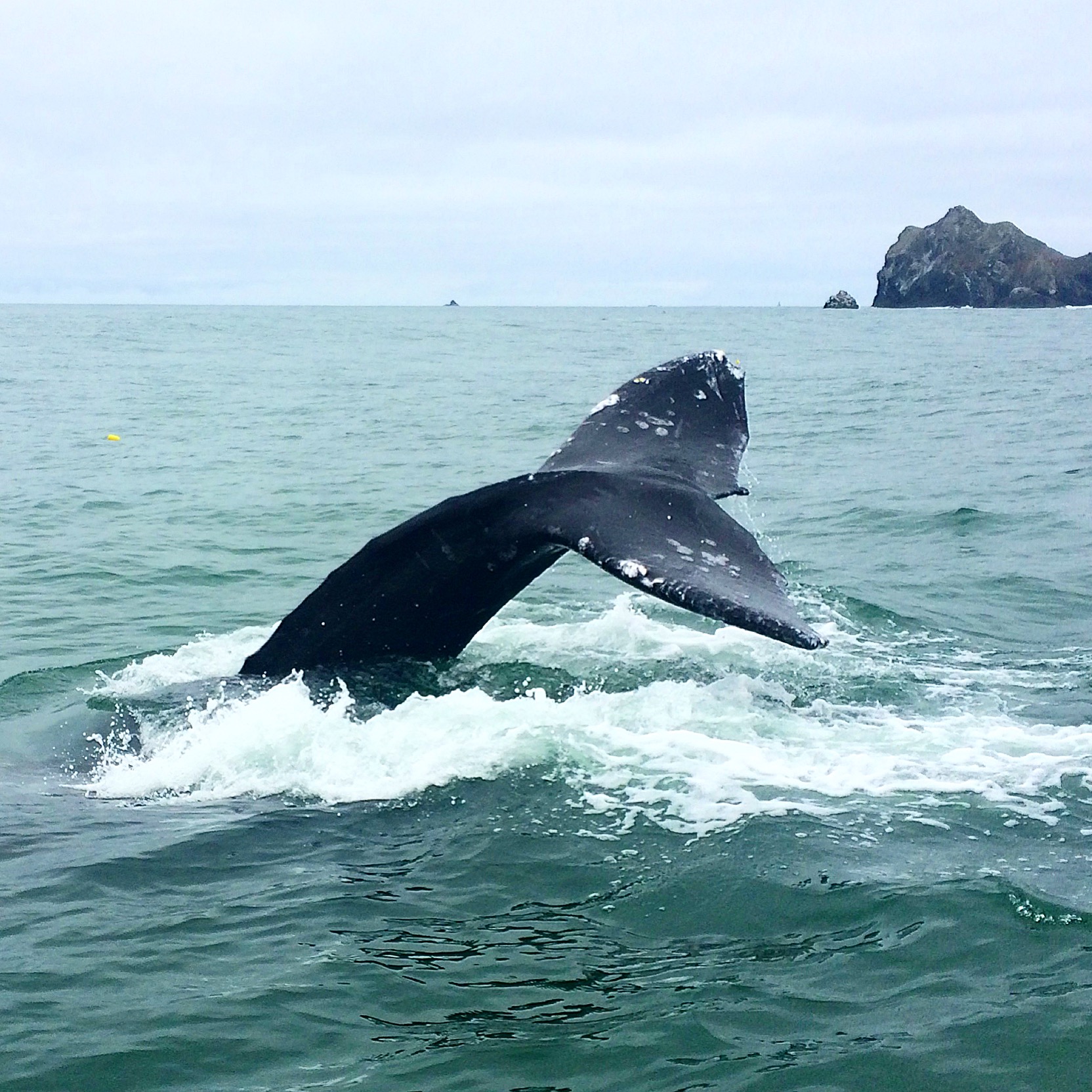 Support AB 2734 – Expand Coastal Access in California!